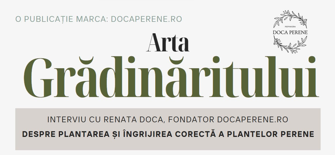 Citește online revista „Arta Grădinăritului” - ediția septembrie 2025