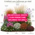 Gradina care infloreste pe rand
