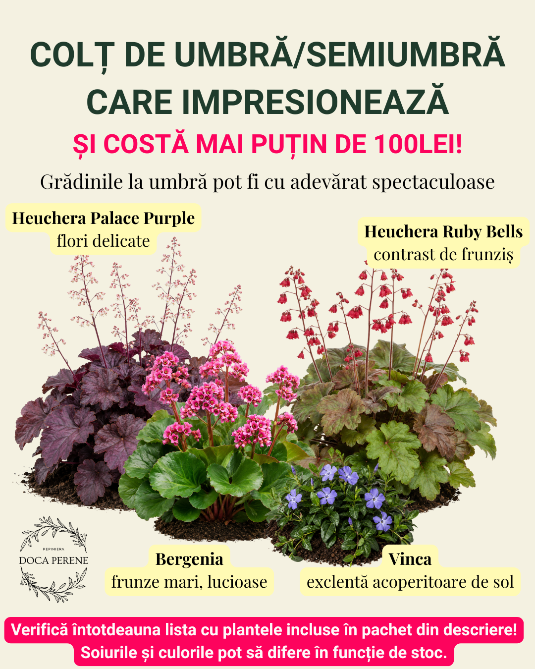 Sub 100lei: Colț de umbră/semiumbră decorativ pentru grădini mici