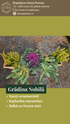 Grădina nobilă - pachet cu flori pt jardiniere