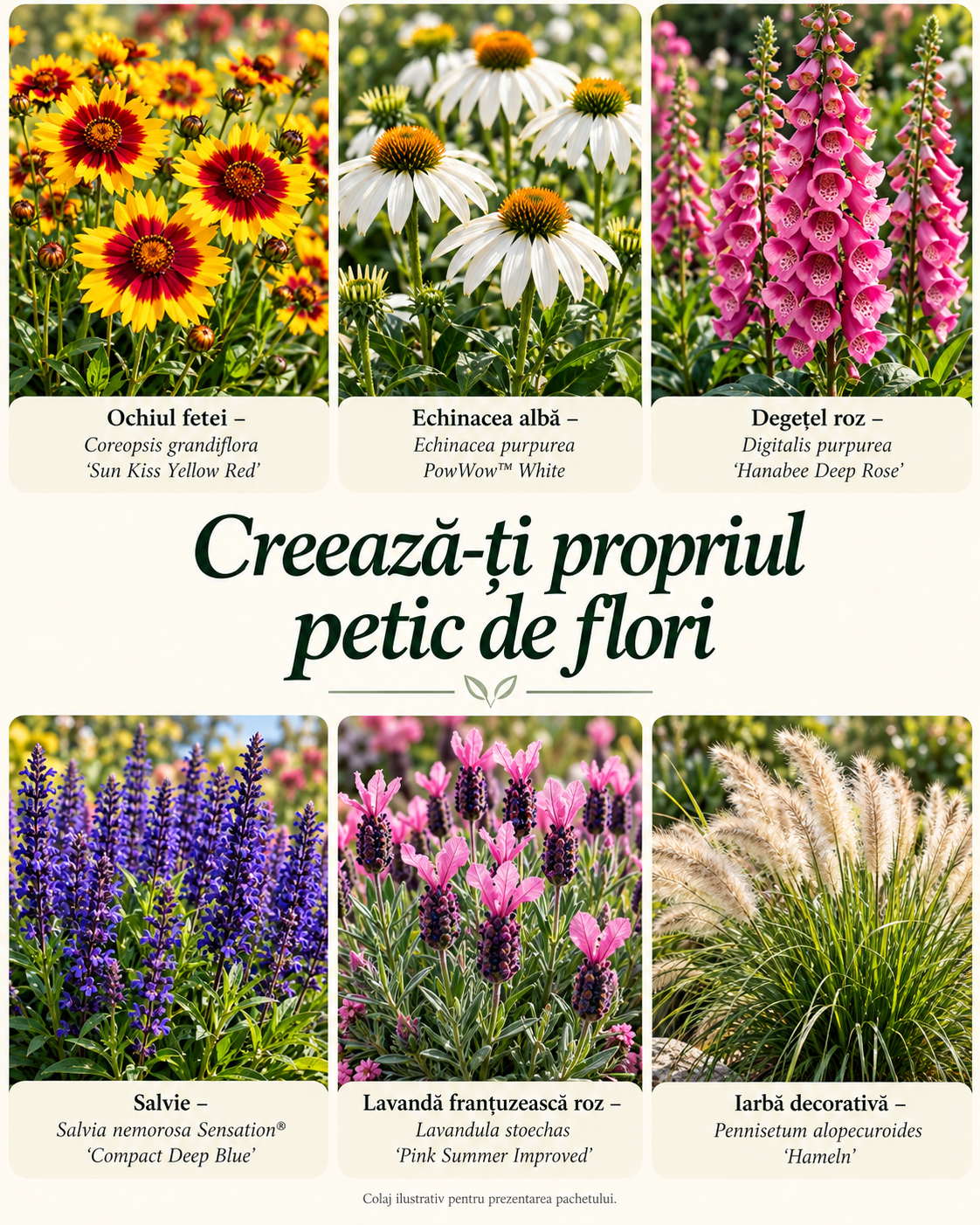 Creează-ți propriul petic de flori
