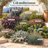 Colț mediteranean – 10 plante aromatice și argintii care iubesc arșița