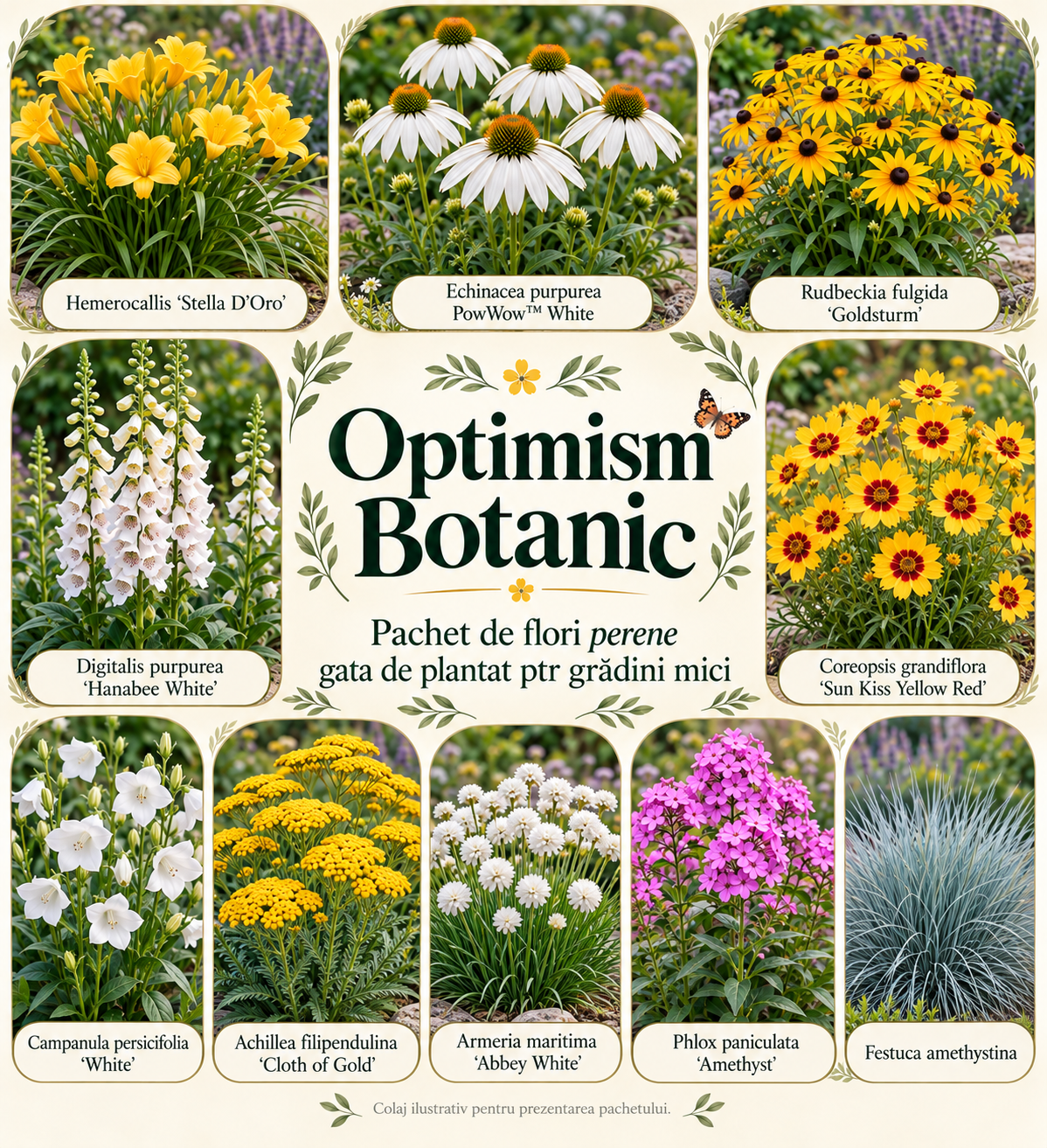 Optimism Botanic - Pachet de flori perene gata de plantat ptr grădini mici