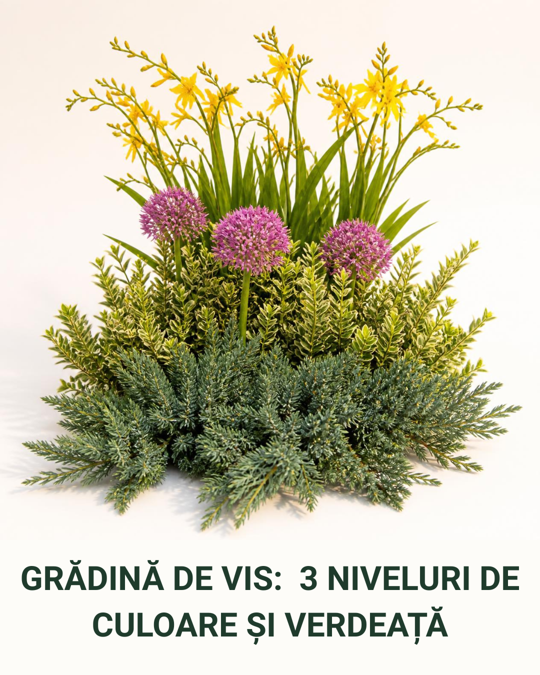 Grădină de vis: 3 niveluri de culoare și verdeață