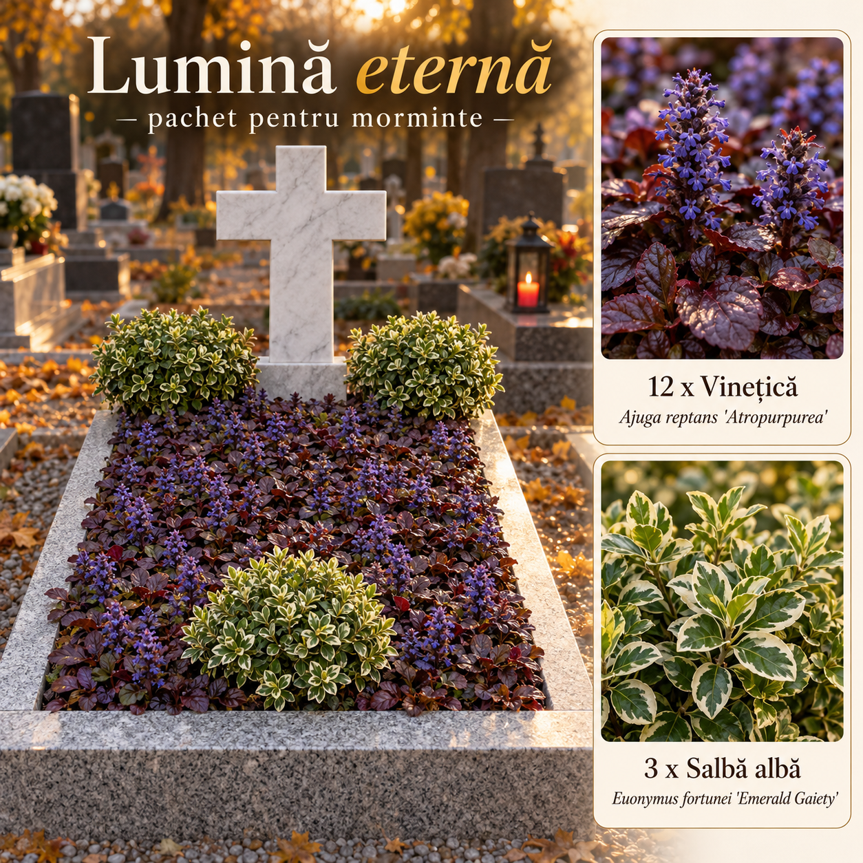 Lumină eternă - pachet pt morminte