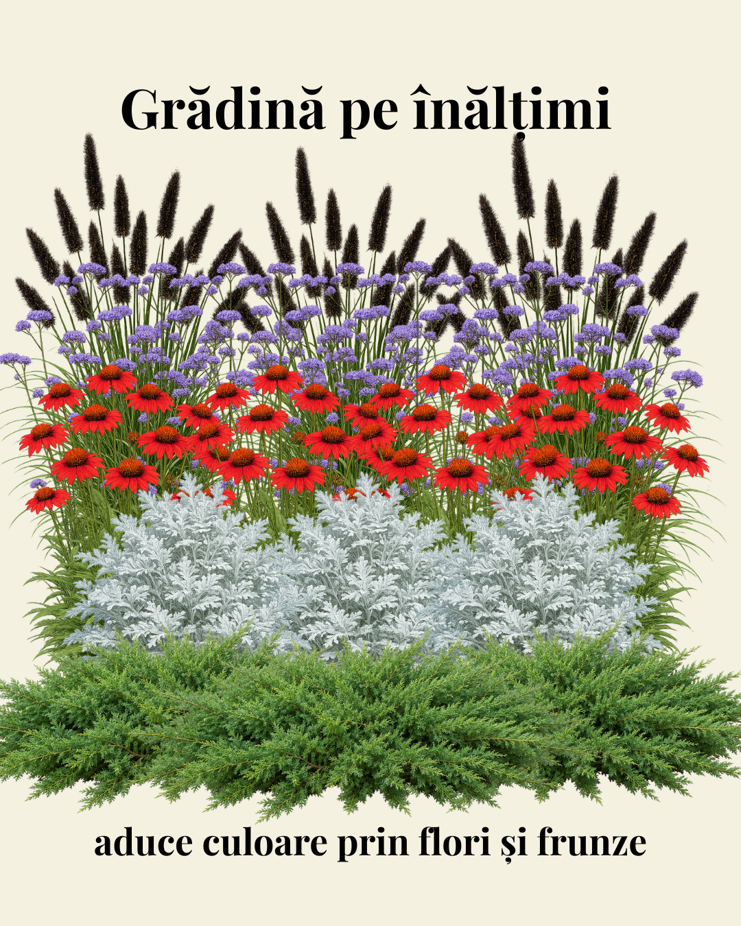 Grădină pe înălțimi