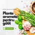 Pachet cu plante aromatice pentru gătit