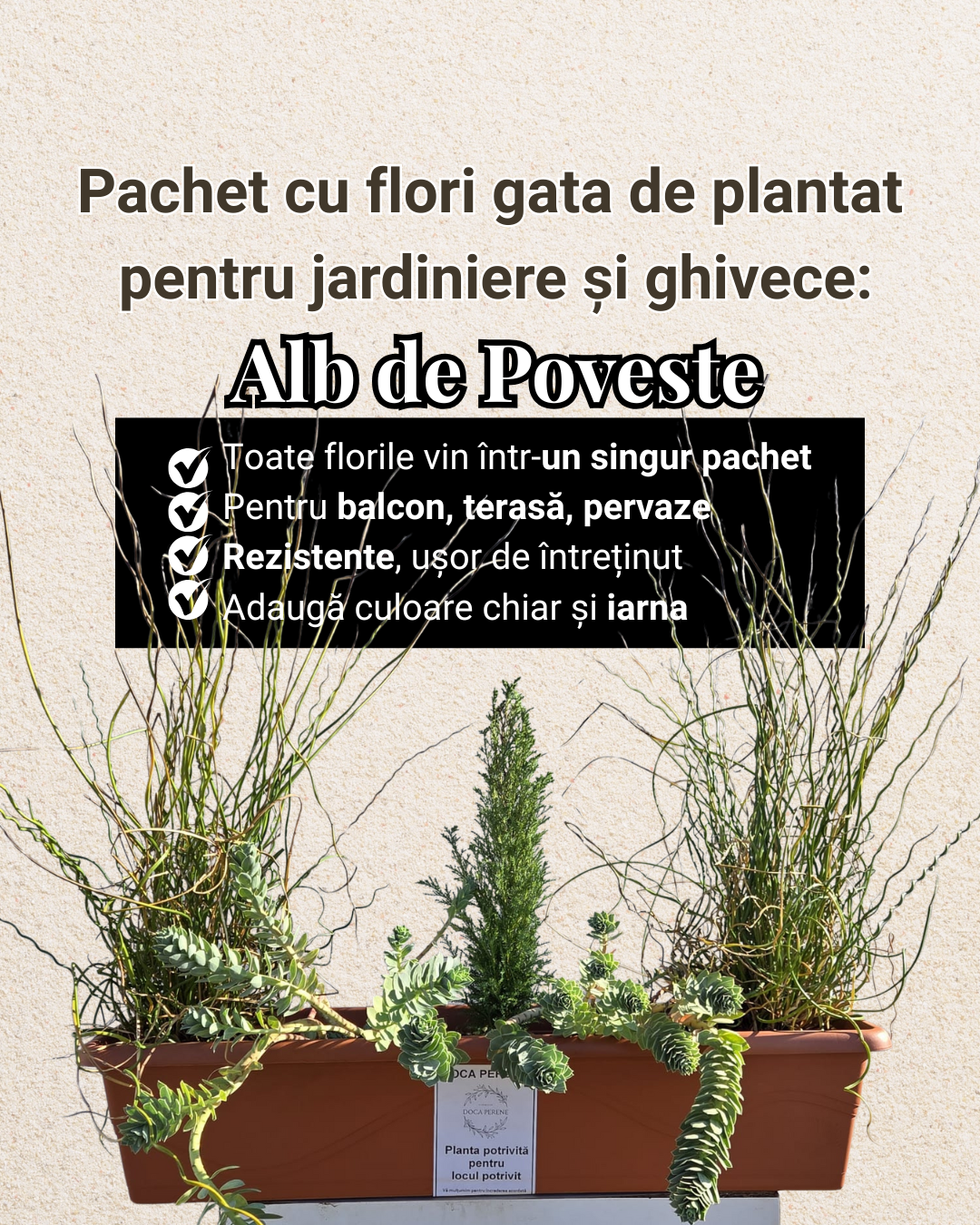 Alb de Poveste - pachet pt jardiniere