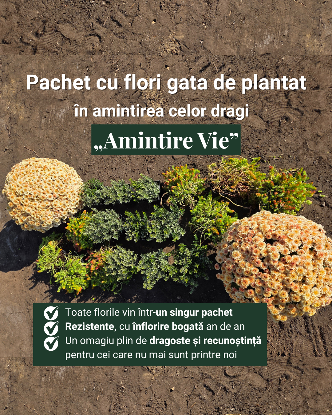 Amintire vie - pachet pt morminte