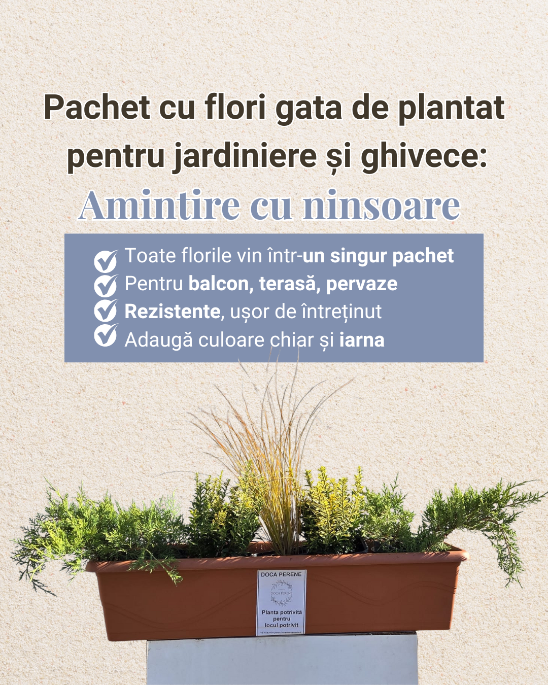 Amintire cu Ninsoare - pachet pt jardiniere