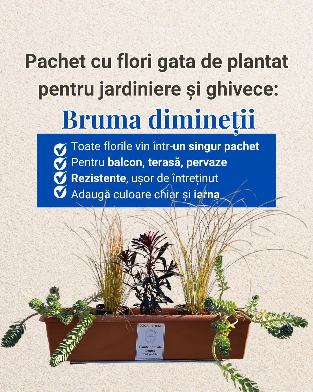Bruma dimineții - pachet ptr jardiniere