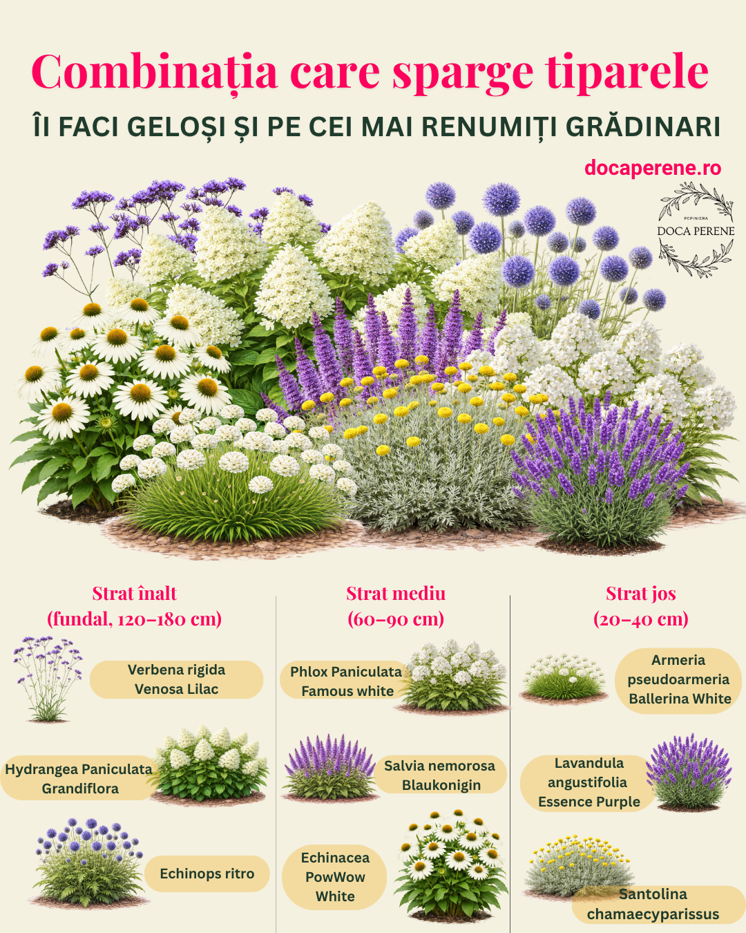 Combinația care sparge tiparele: îi faci geloși și pe cei mai renumiți grădinari