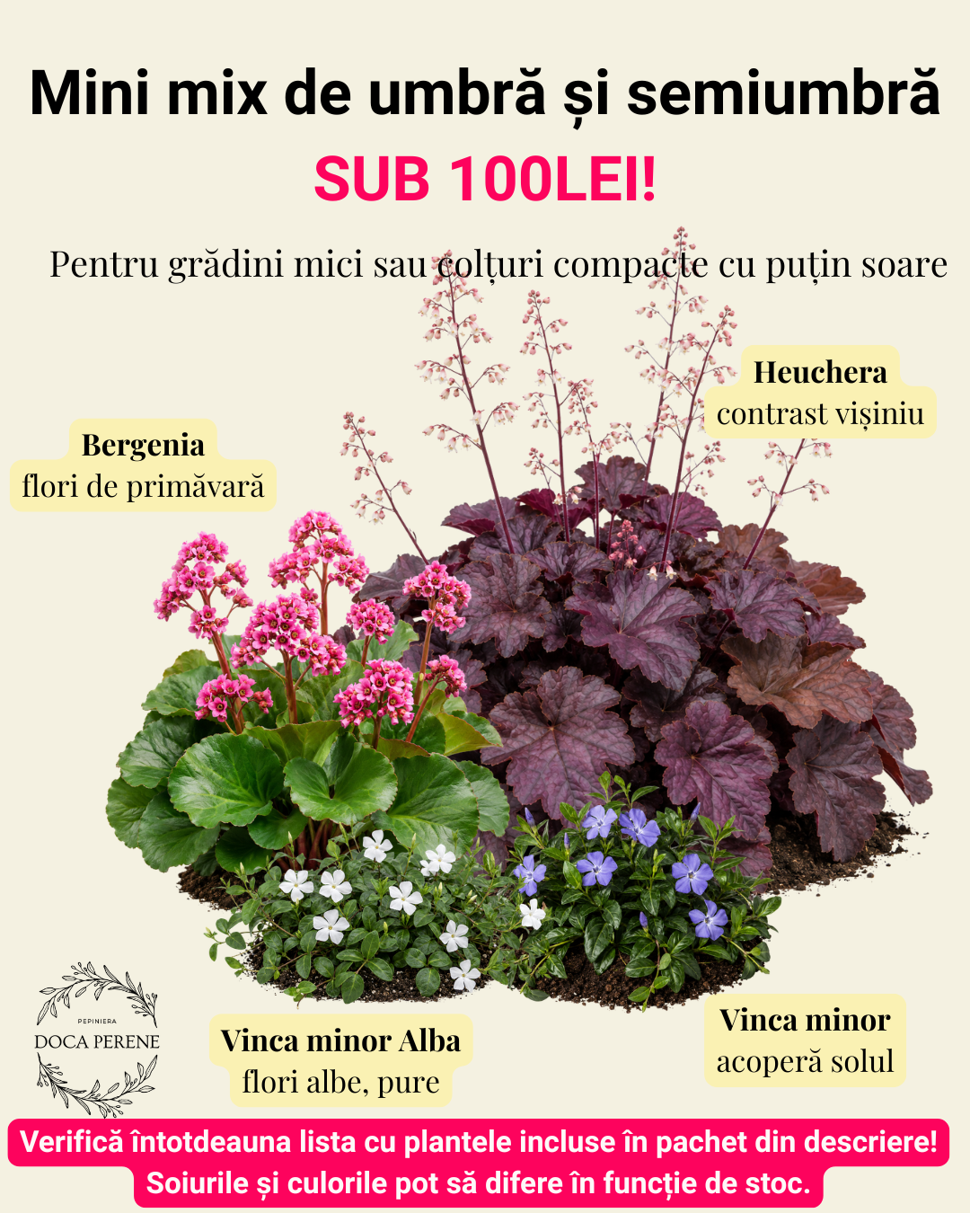 Sub 100lei pentru grădini mici la umbră și semiumbră