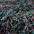 Cotoneaster procumbens Queen of Carpets - DocaPerene