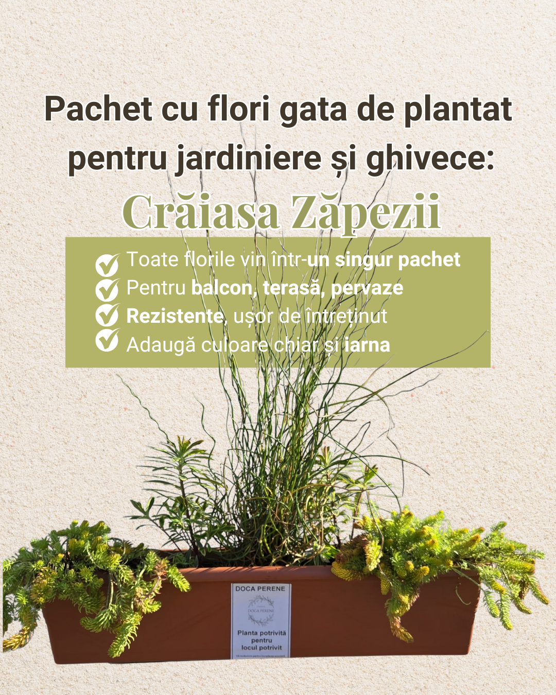 Crăiasa Zăpezii - pachet pt jardiniere