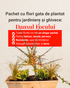 Dansul Focului - pachet de perene pt jardiniere