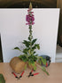 Degețel - Digitalis purpurea Dalmatian F1 Purple - DocaPerene