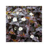 Fizocarp Diabolo - Physocarpus opolifolius Diabolo - DocaPerene