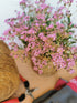 Floarea miresei târâtor - Gypsophilla repens Filou Rose - DocaPerene