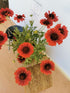 Fluturei roșii - Gaillardia aristata Mesa™ Red - DocaPerene
