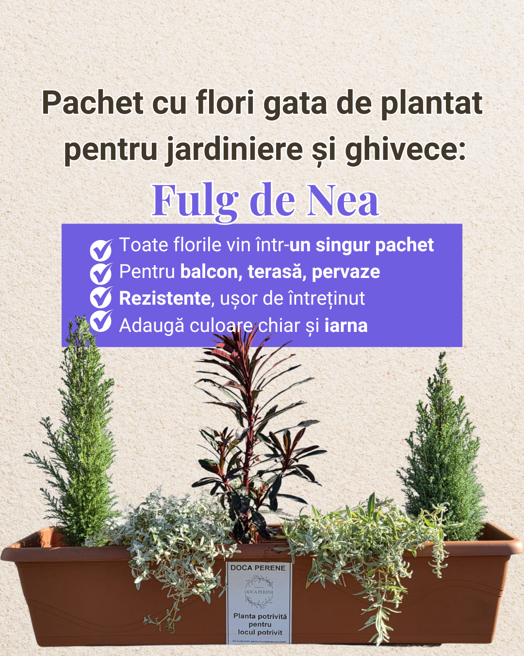 Fulg de Nea - pachet pt jardiniere