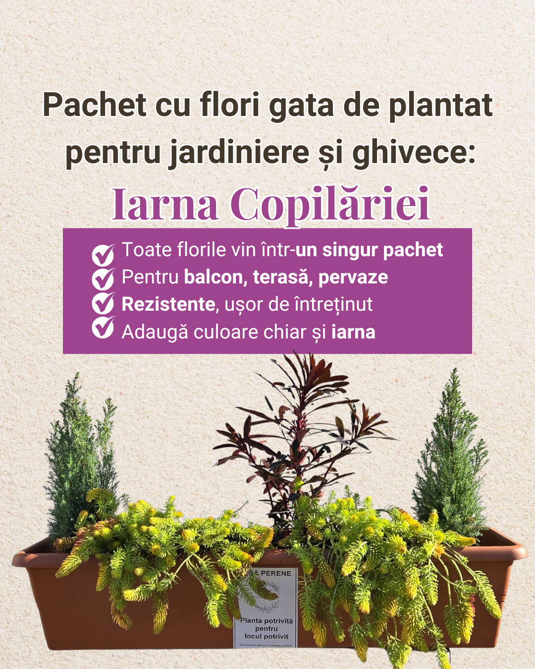 Iarna copilăriei - pachet pt jardiniere