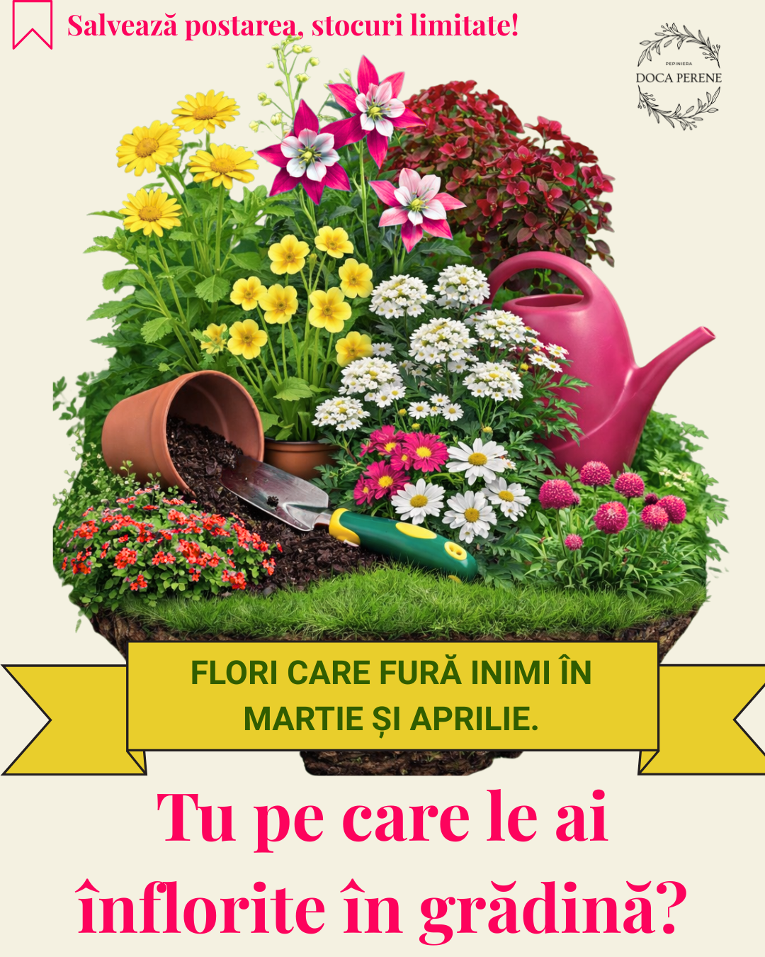 Perene gata înflorite: pachet de sezon cu flori înflorite