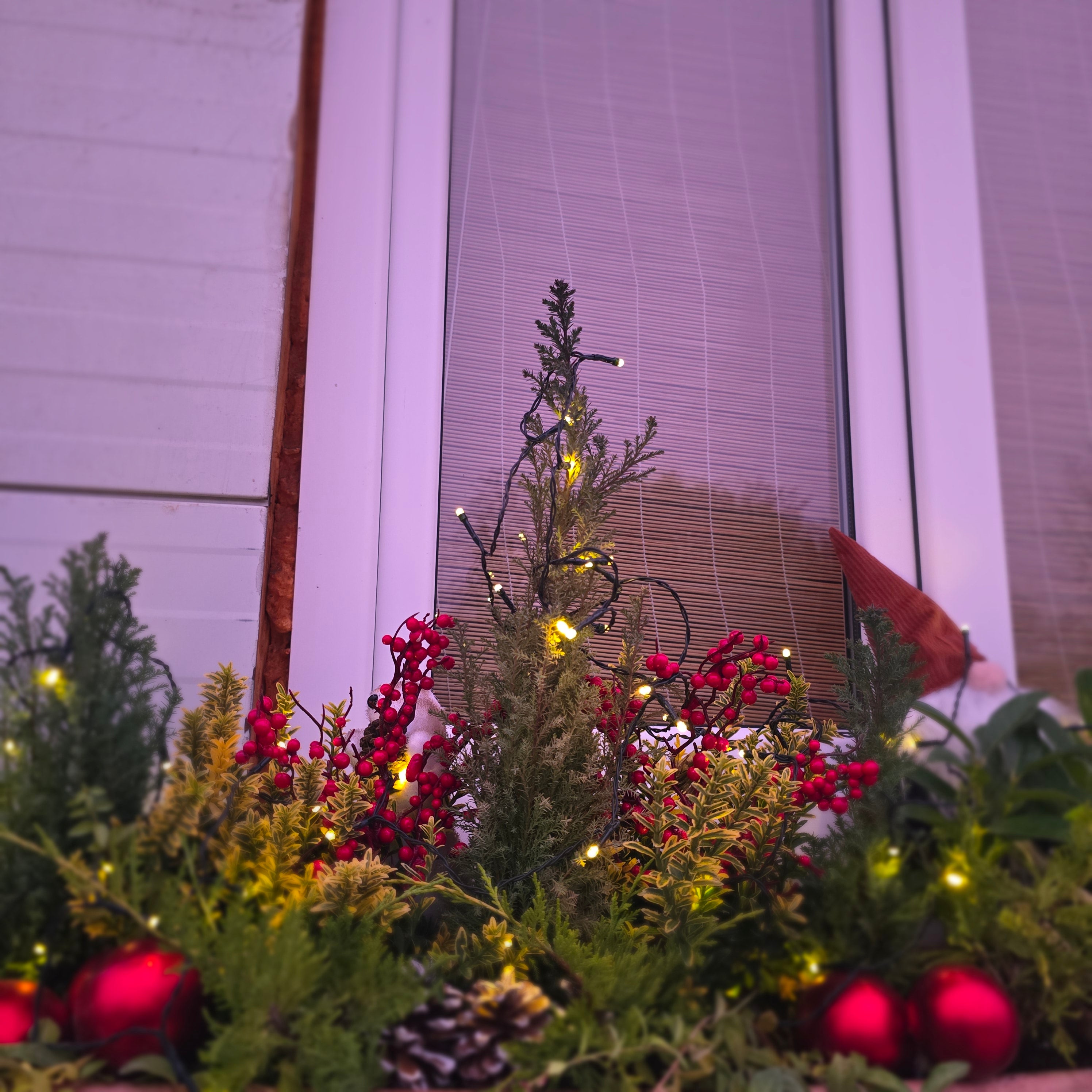 Jardiniera de Crăciun