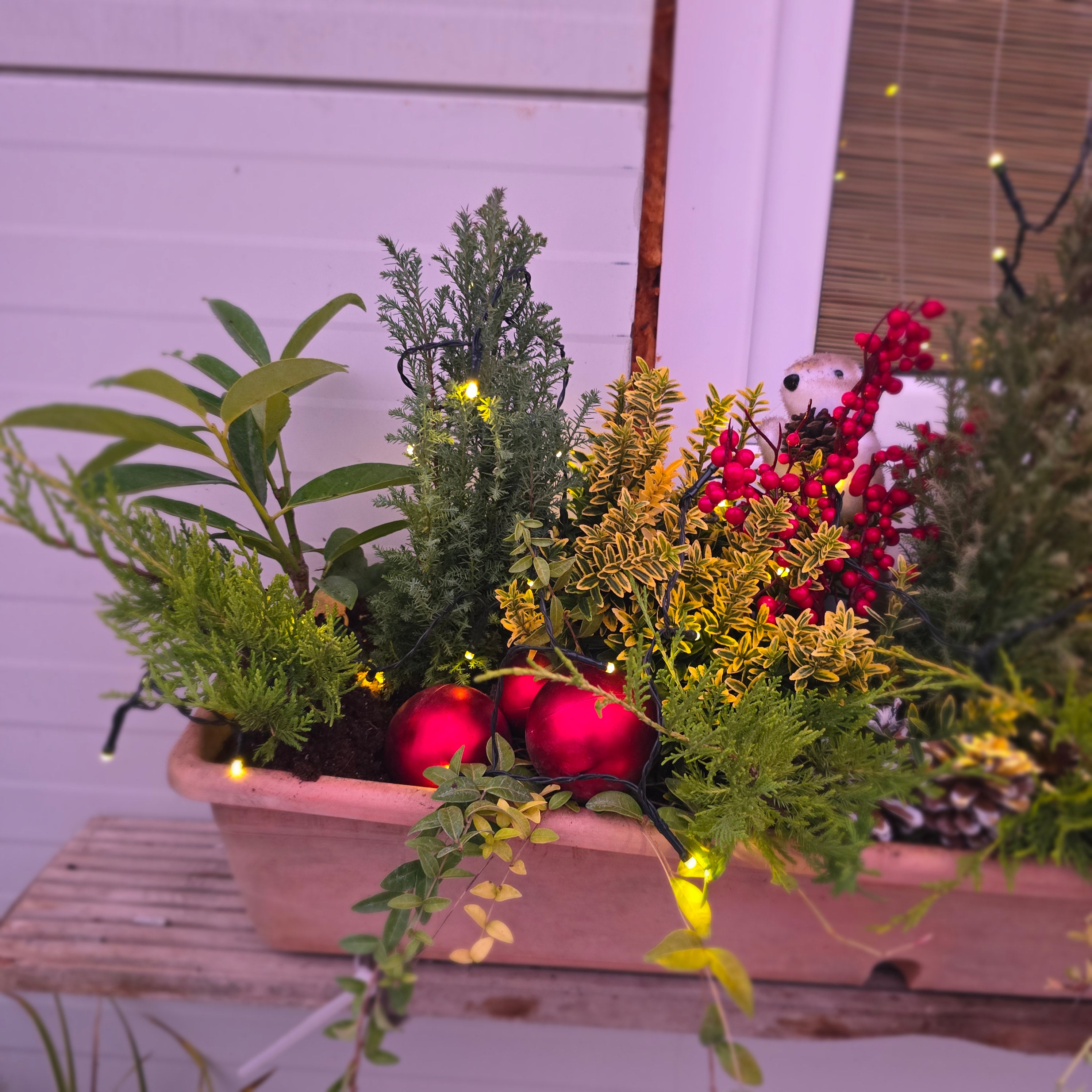 Jardiniera de Crăciun