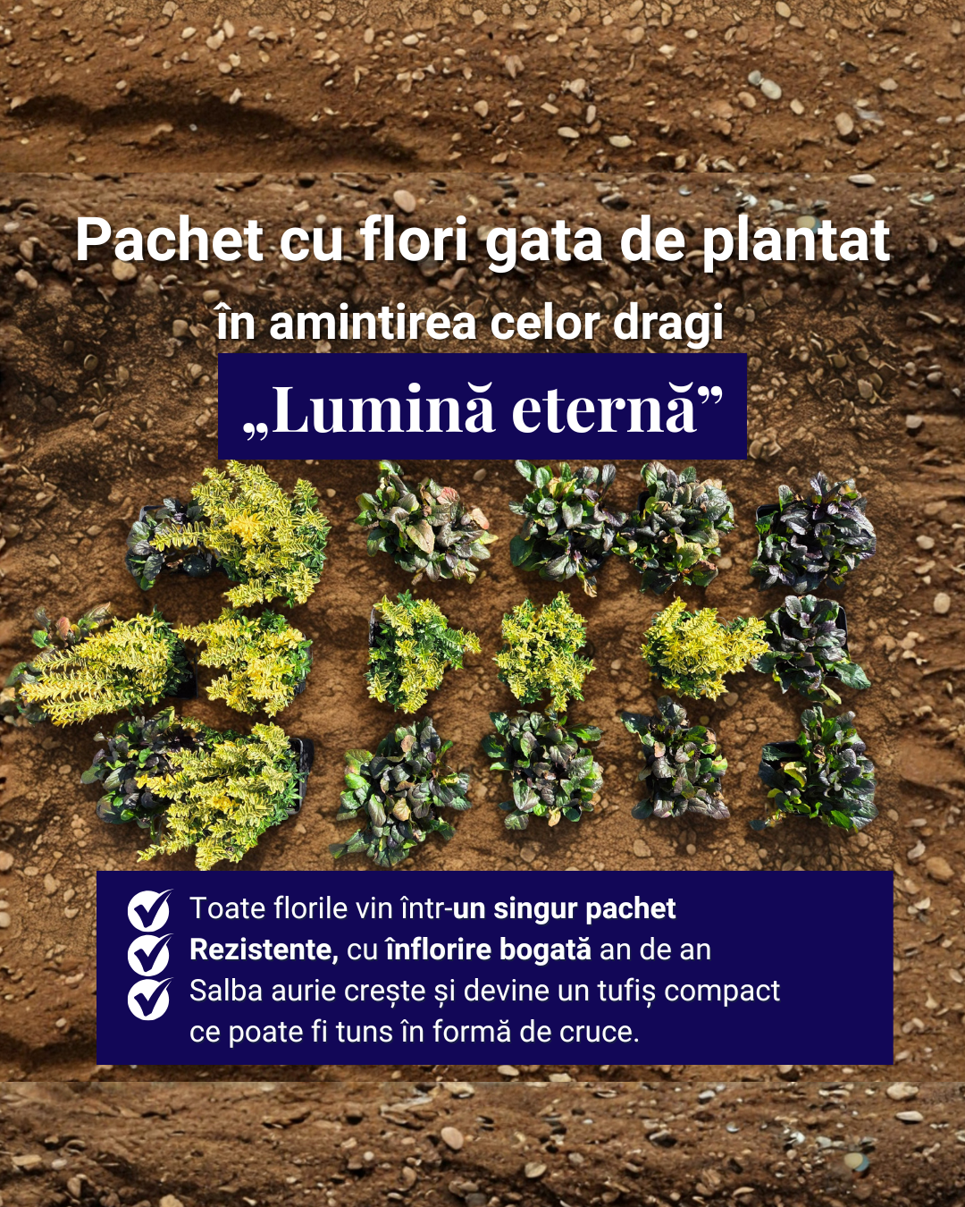 Lumină eternă - pachet pt morminte