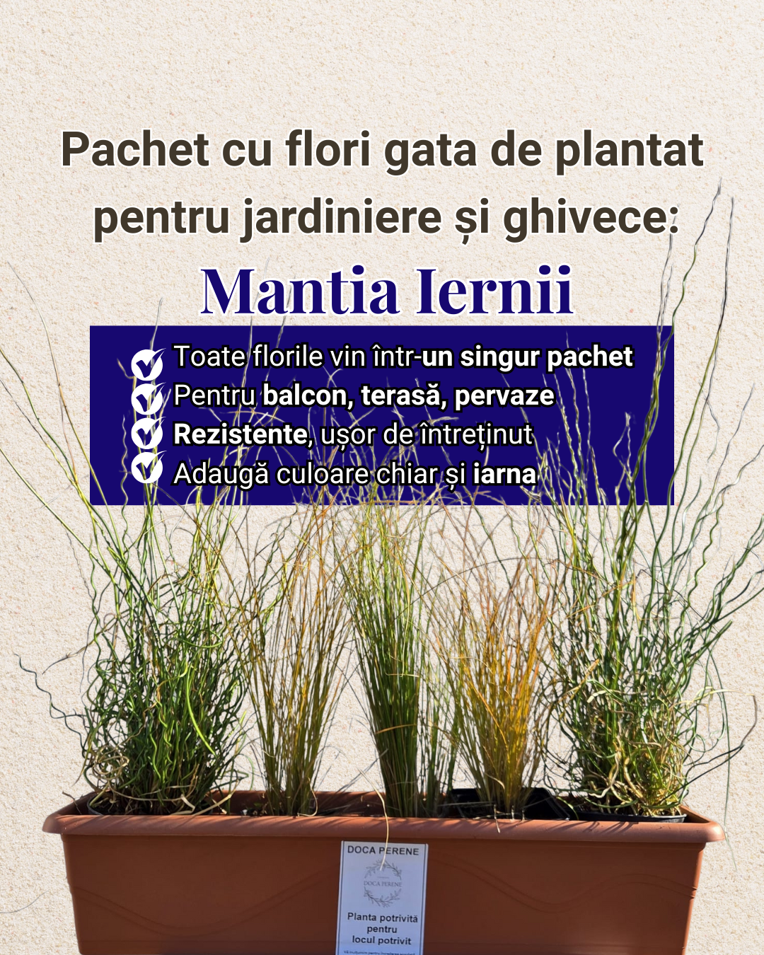 Mantia Iernii - pachet pt jardiniere