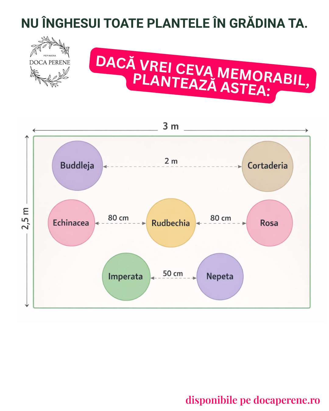 Mix MEMORABIL de perene care impresionează