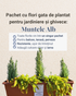 Muntele Alb - pachet pt jardiniere