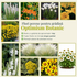 Optimism Botanic - Pachet de flori perene gata de plantat ptr grădini mici