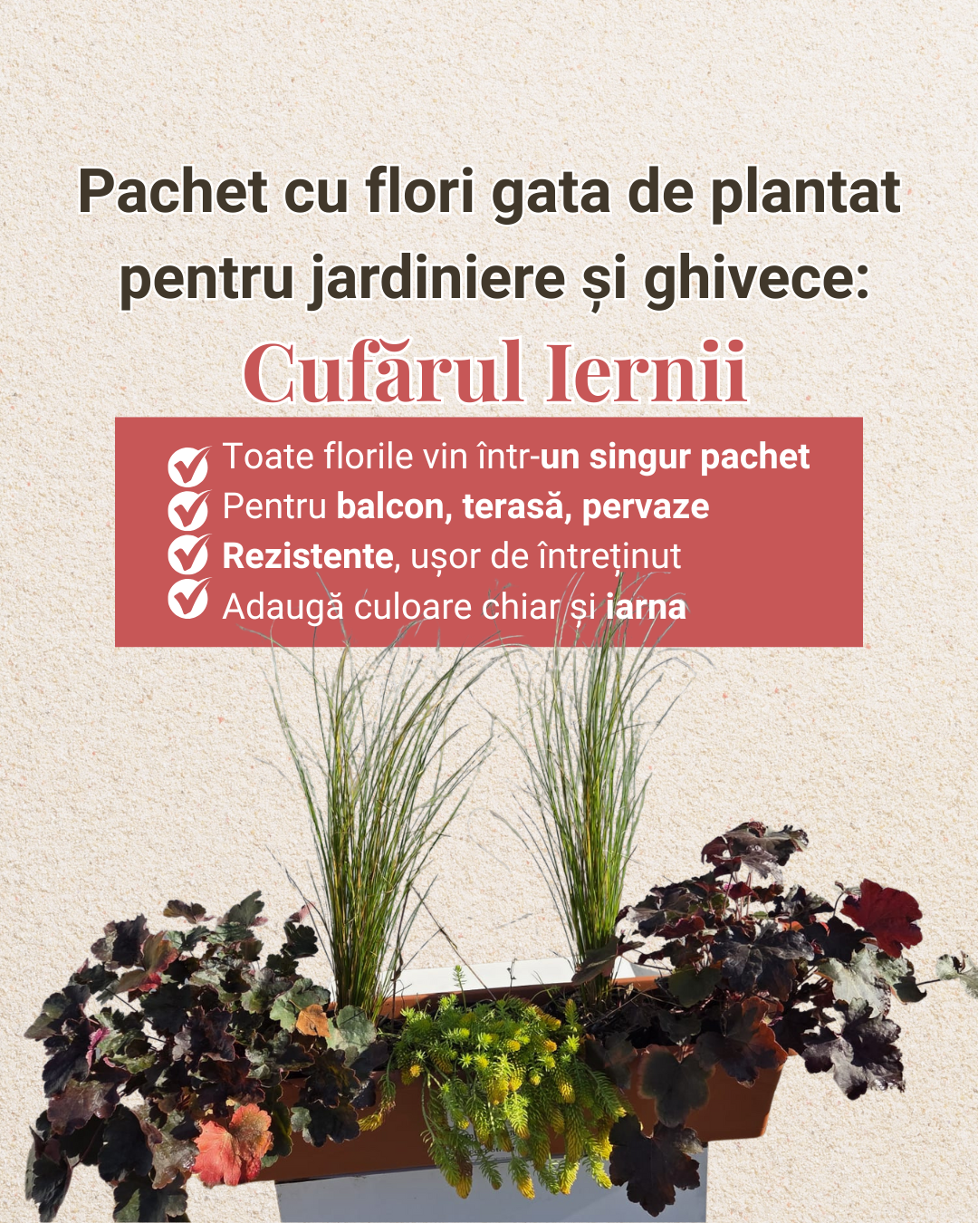Cufărul Iernii - pachet pt jardiniere