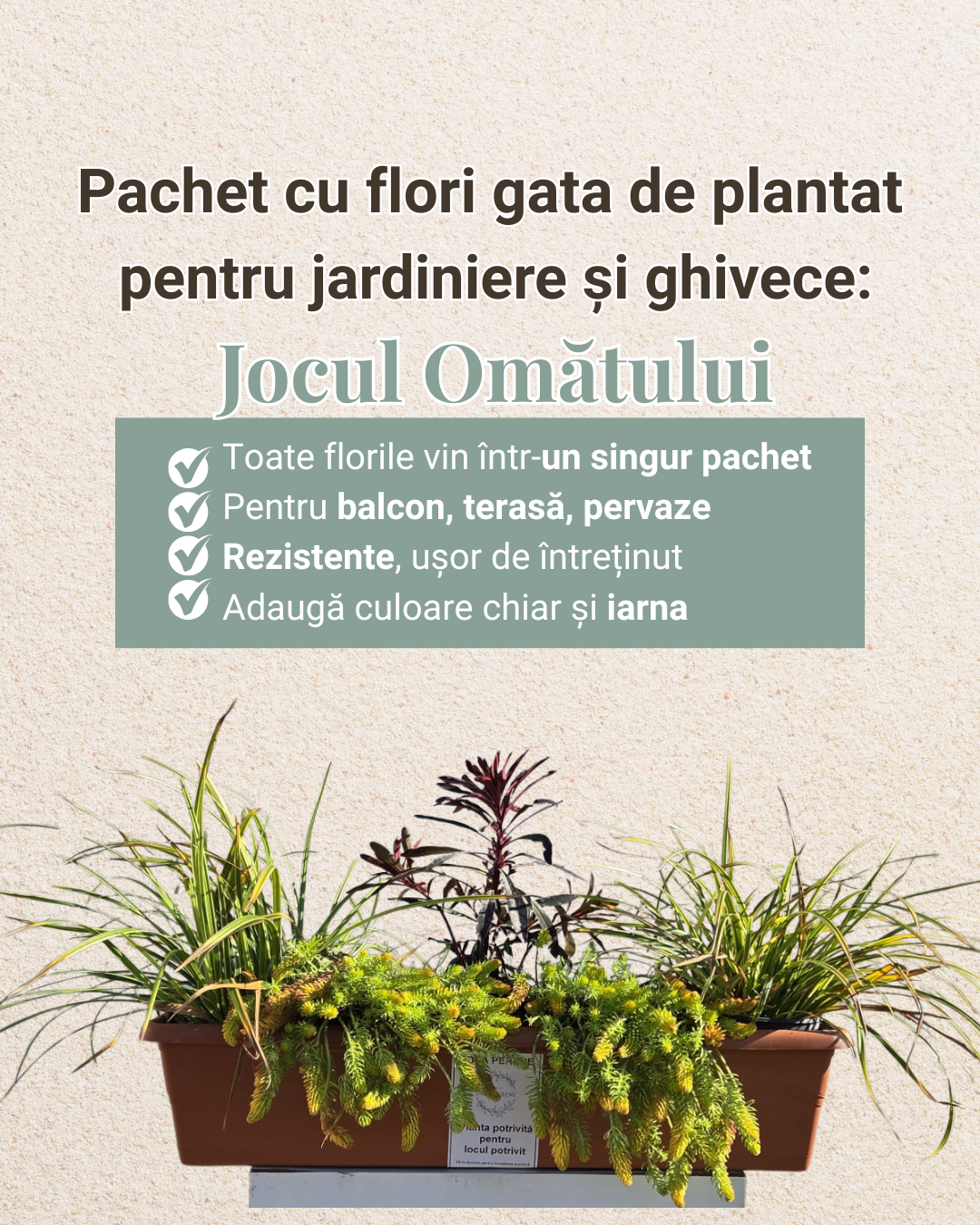 Jocul Omătului - pachet pt jardiniere