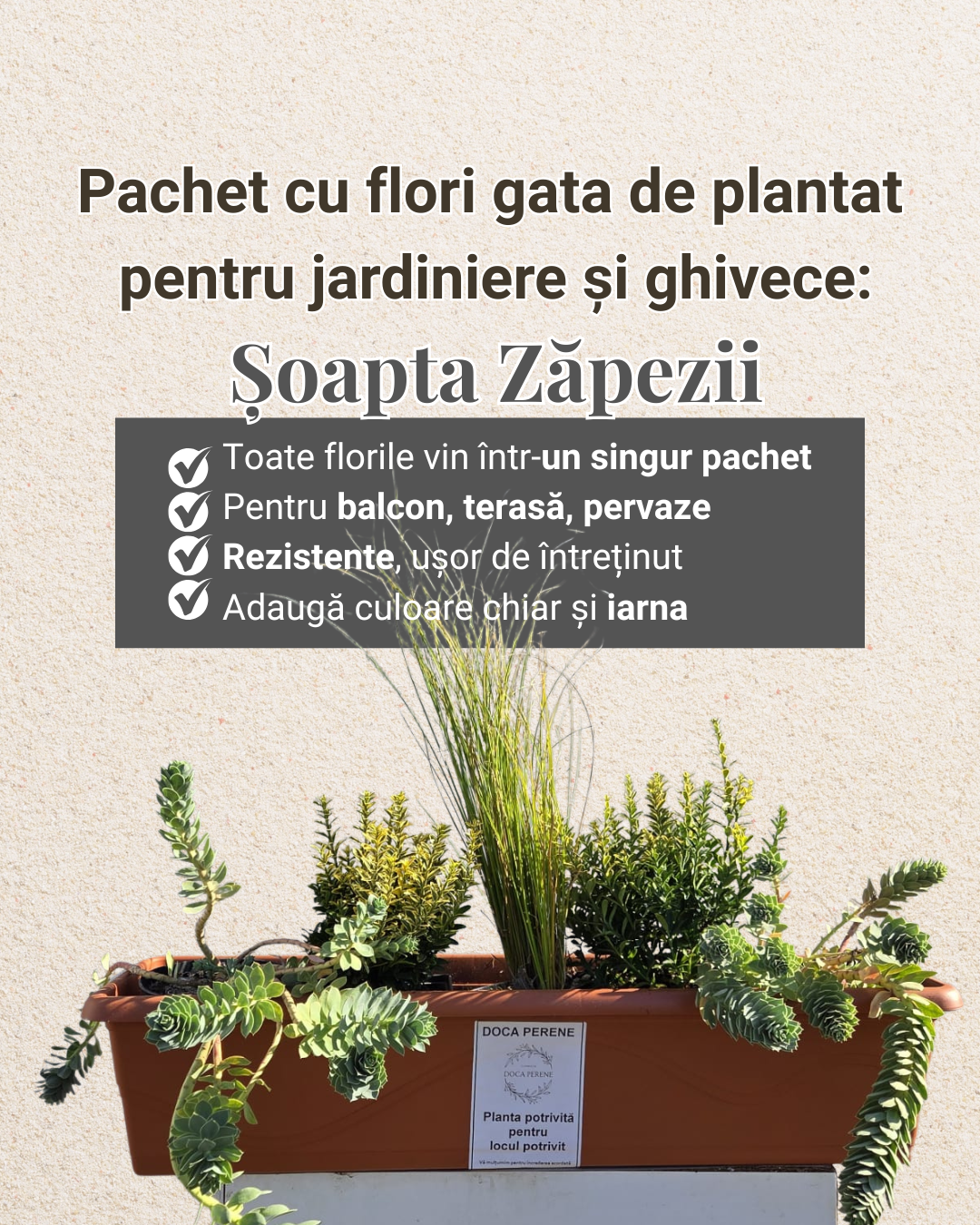 Șoapta Zăpezii - pachet pt jardiniere