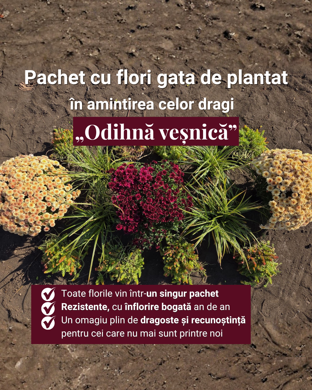 Odihnă veșnică - pachet pt morminte