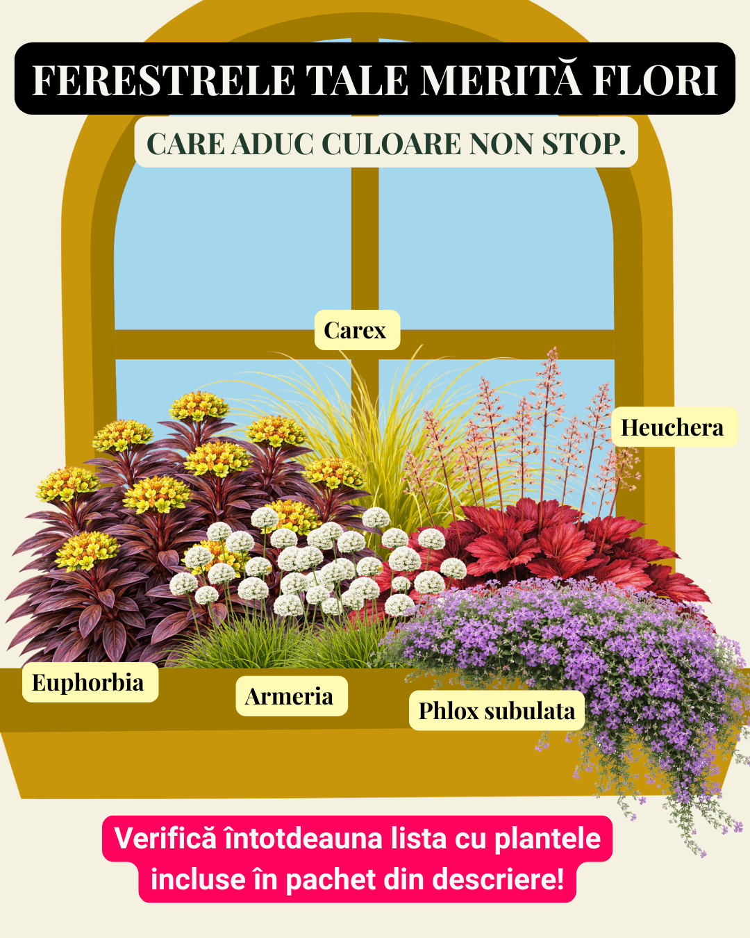 Mix de perene colorate pentru jardiniere