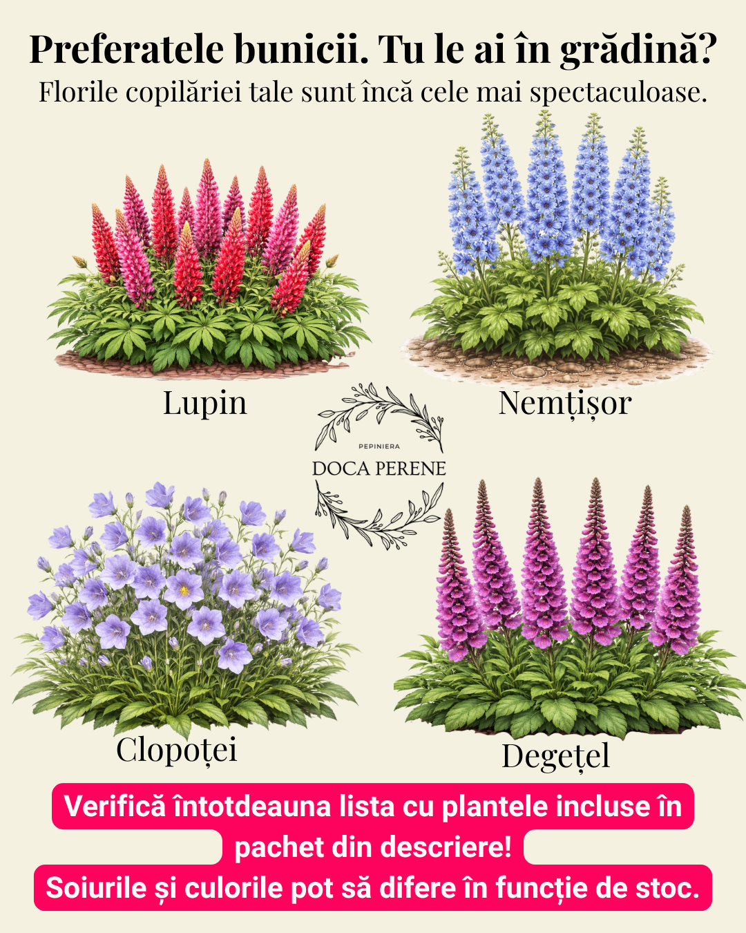 Preferatele bunicii: pachet de perene de grădină