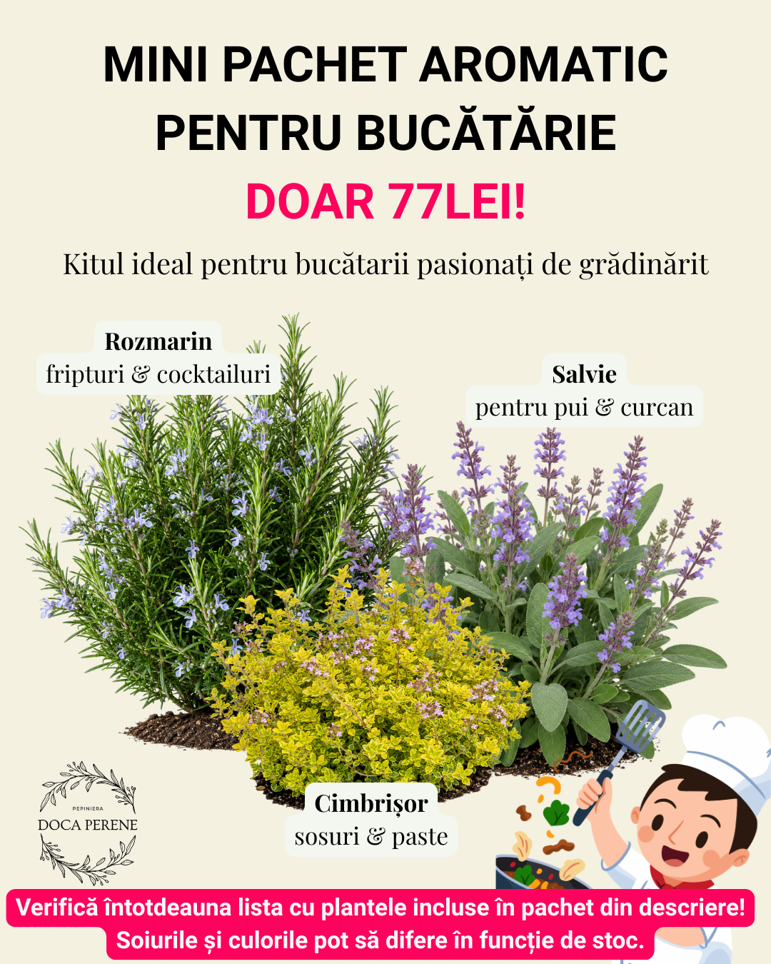 Doar 77lei: Mini pachet aromatic pentru bucătărie