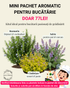 Doar 77lei: Mini pachet aromatic pentru bucătărie