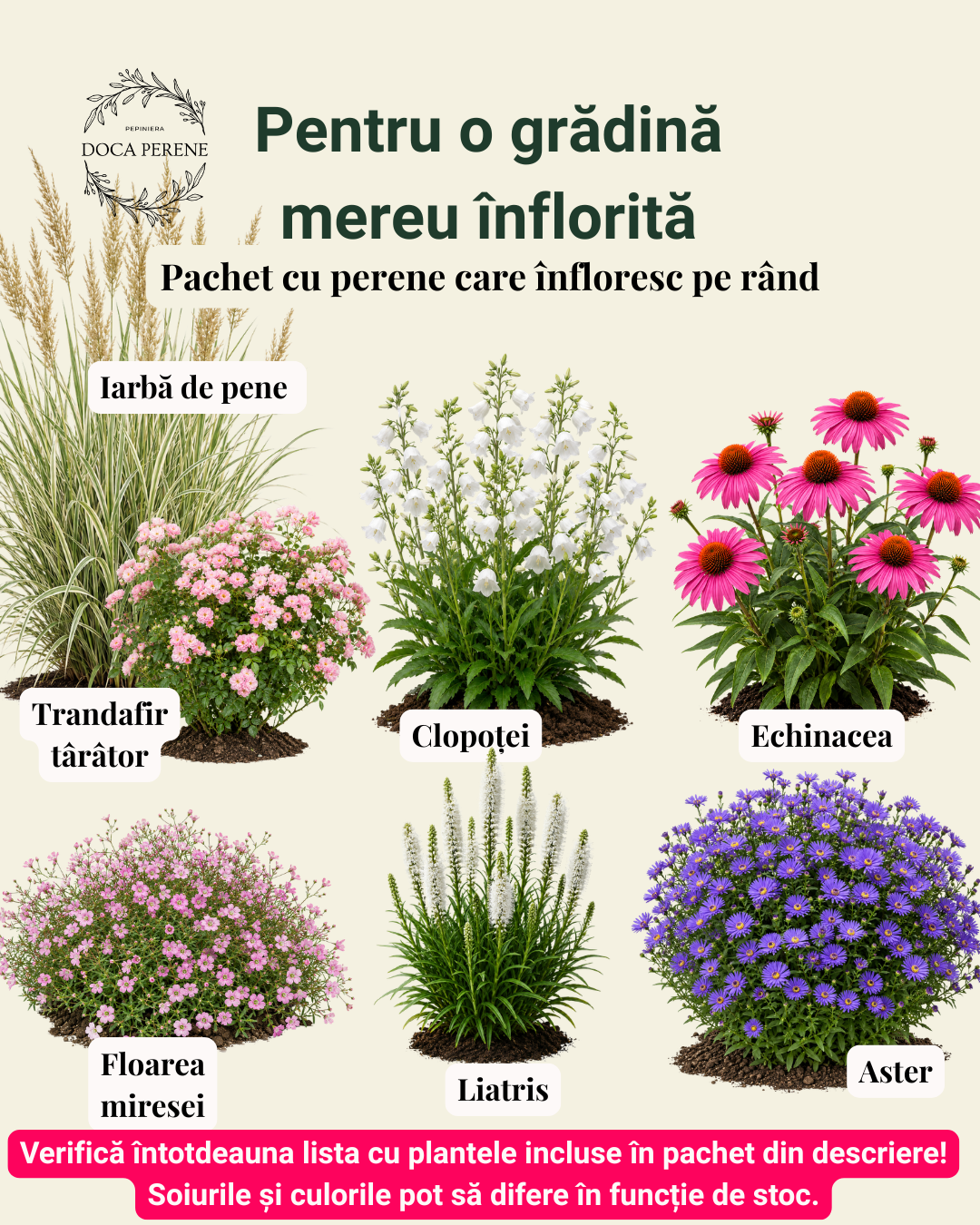 Perene care înfloresc pe rând - pachet pentru grădină
