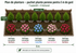 Hortensii și leylandii pt 5m de gard: culoare, intimitate, liniște (plan de plantare inclus)