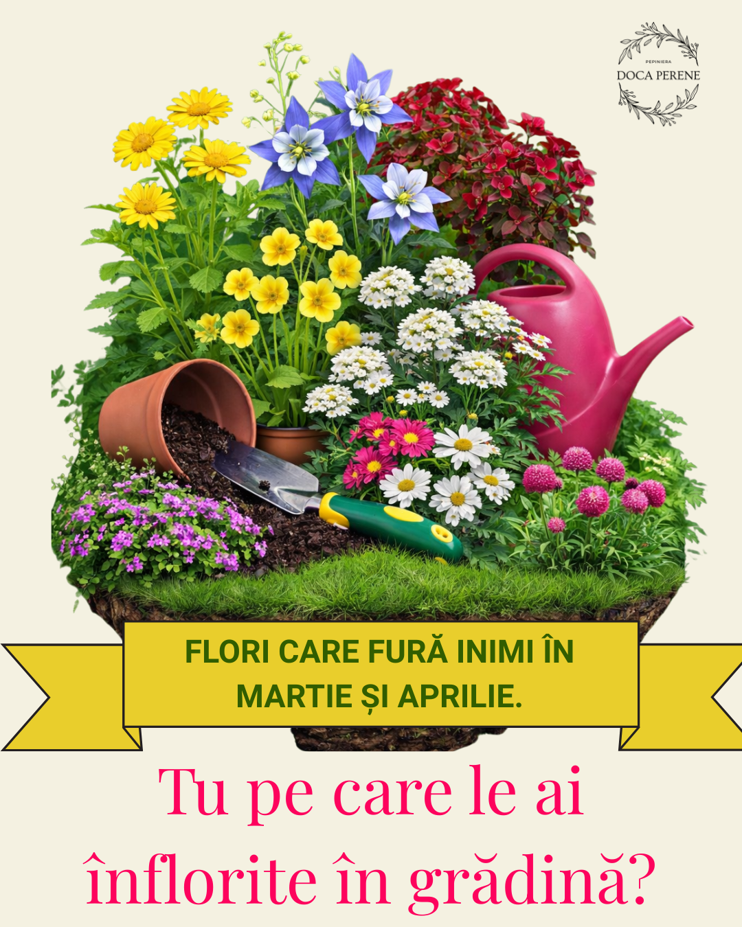 Perene gata înflorite: pachet de sezon cu flori înflorite