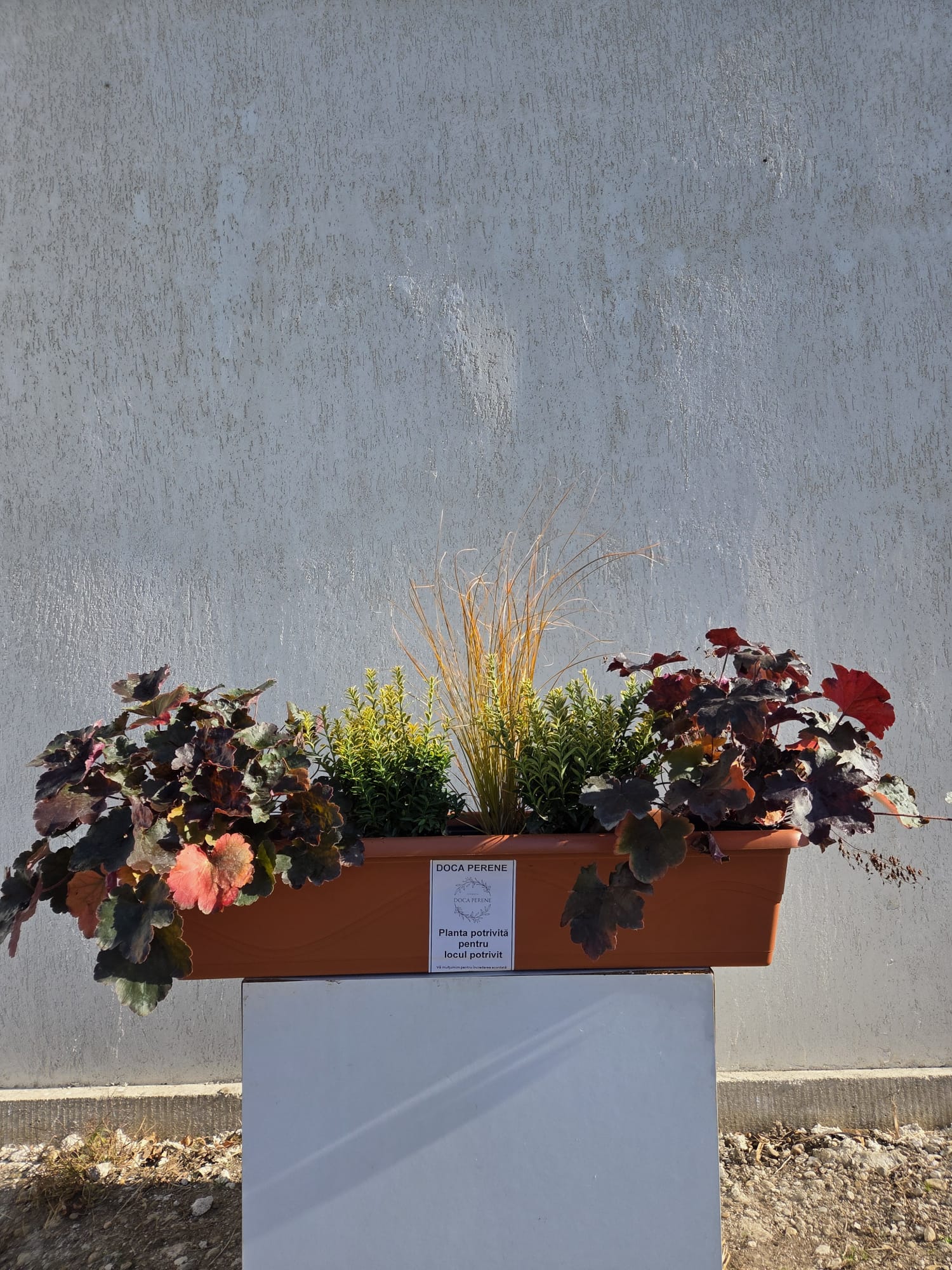 Prin nămeți - pachet pt jardiniere