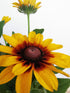 Ruji colorate - Rudbeckia hirta Autumn Colors
