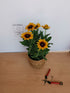 Ruji colorate - Rudbeckia hirta Autumn Colors