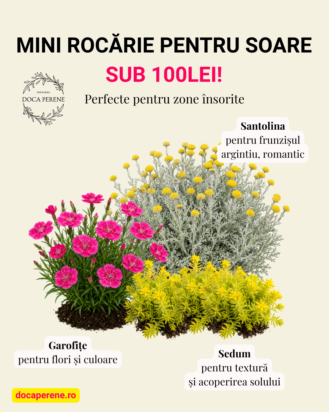 DOAR 77LEI: Mini rocărie pentru soare