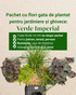 Verde Imperial - pachet perene ptr jardiniere